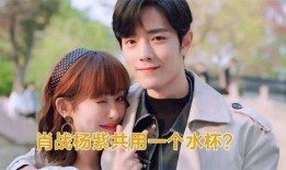 谁爆料肖战杨紫了呢视频,网友热议背后的真相