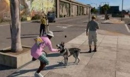 狗哥爆料新鞋视频大全集,新鞋视频大全集亮点解析